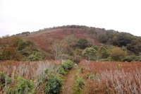 20131006藤原岳（鈴鹿）