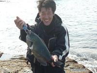 ２０１３年　中ノ島初釣行