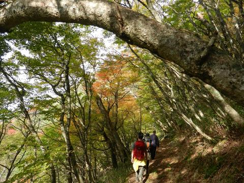 西日本2番目のお山へ