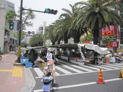 カツオの国の合宿所