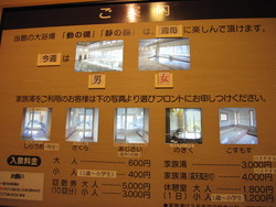 秋の竜天　その後・・・