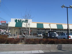 赤穂海浜公園オートキャンプ場