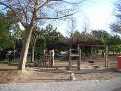 赤穂海浜公園オートキャンプ場