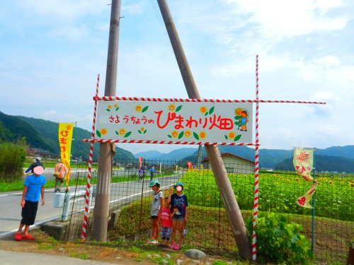 お久しぶりのご挨拶
