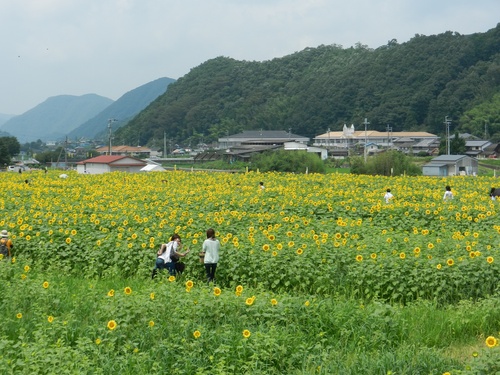 お久しぶりのご挨拶