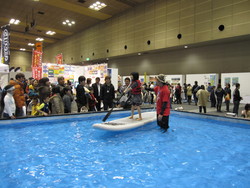 大阪アウトドアフェスティバル　2010