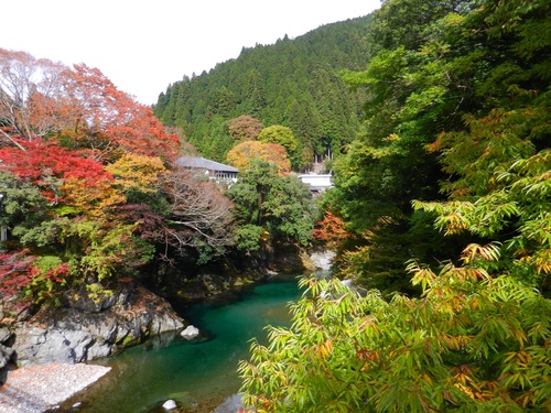 紅葉のんびりキャンプ