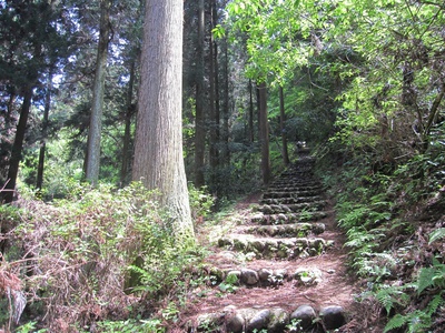 奥河内　岩湧山へ