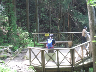 奥河内　岩湧山へ