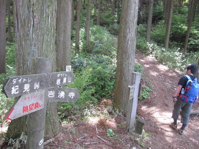 奥河内　岩湧山へ