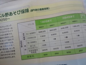 お山の保険
