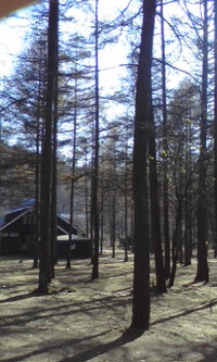 秋キャンプ 気持ちいい 2009/11/07 14:15:34