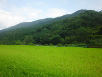 楽しかったぞー♪シロイダイラ（＾3＾）ノ 2010/09/08 09:31:07