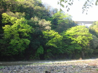 雨にもマケズ！ 2011/05/07 18:43:37
