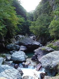 自然を求めて