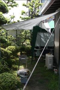 庭でBBQ