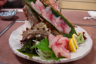 DSCC白浜合宿
