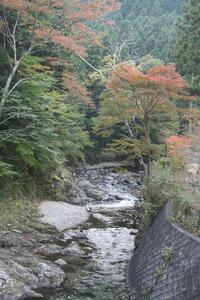 ぬくみ林間学校