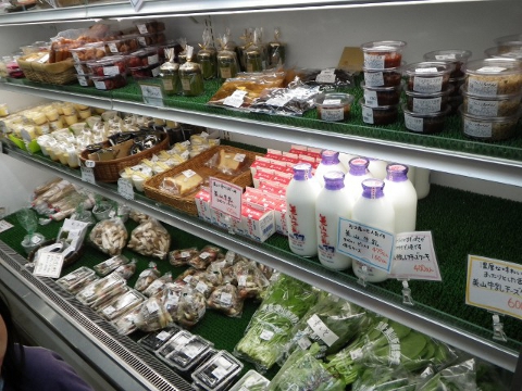 美山町自然文化村キャンプ場に行ってきました①