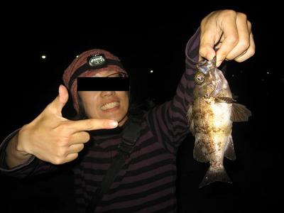 ウミヘビダービー