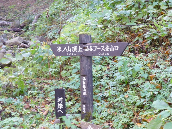 氷ノ山登山