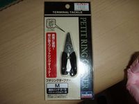 勢いで・・・
