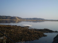 春＋日曜日＝釣り 2012/04/22 18:17:25