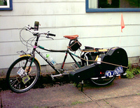 SURLY BIG DUMMY