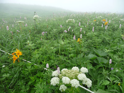 2010北海道ツーリングレポート６日目