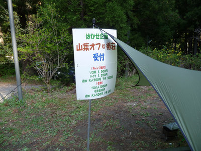 山菜キャンプin椿荘オートキャンプ場