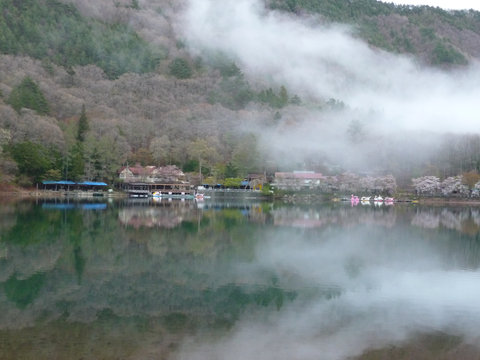 今年の一枚