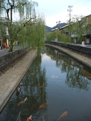 城崎旅行