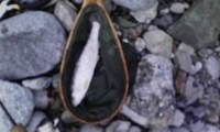 釣三昧・・
