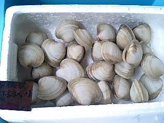 まんじゅう屋 仮店舗 ふれあい相浜 焼き貝 千葉県館山市船形港ふれあい市場内