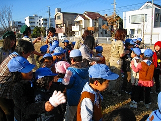 凧揚げ