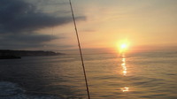 夏ビラメ釣行 2010/09/06 08:36:06