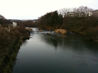 River River 2010/12/17 21:59:37