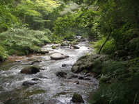 フラッシュバック、夏。その４ 2011/08/17 22:08:33