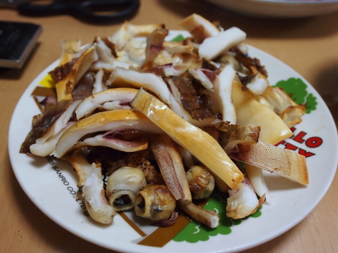 チョッコーの釣り(その他)日記:一つテンヤロッドでティップランエギング