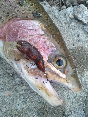 ホッとけメゾット 2013/07/30 22:25:23