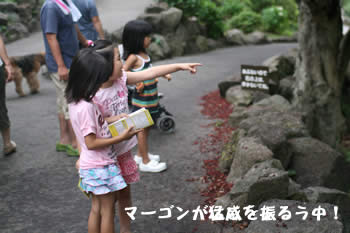 渋滞を駆抜けた先で・・・