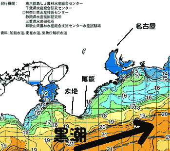 水温を求めて南下する。＾＾