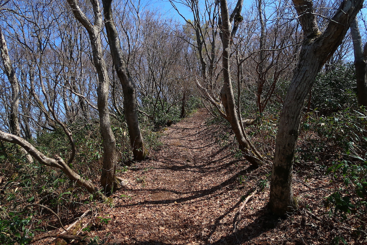 行きたかった山へ