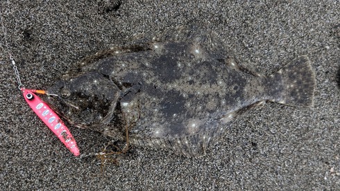 朝マズメの噴火湾サーフ 、風、濁りあり