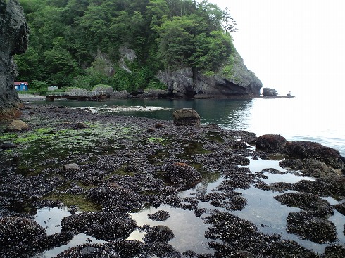 小幌海岸へ行ってきた