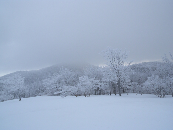 頭陀ヶ平 ようやく雪上歩き