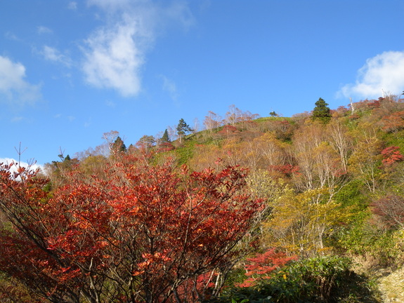 恵那山 笹原の富士見台高原から眺めよう