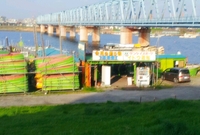 番外編！東京湾シロギス(・ω・)b