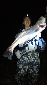 スズーキヽ( ´▽`)/ 〓 2011/08/03 12:46:52