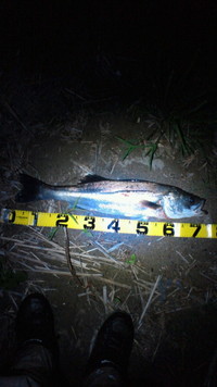 ２日分 2011/08/04 02:45:53